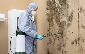 Best Mold Removal for HVAC Installations  in Pinehurst, MA